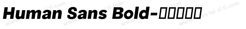 Human Sans Bold字体转换